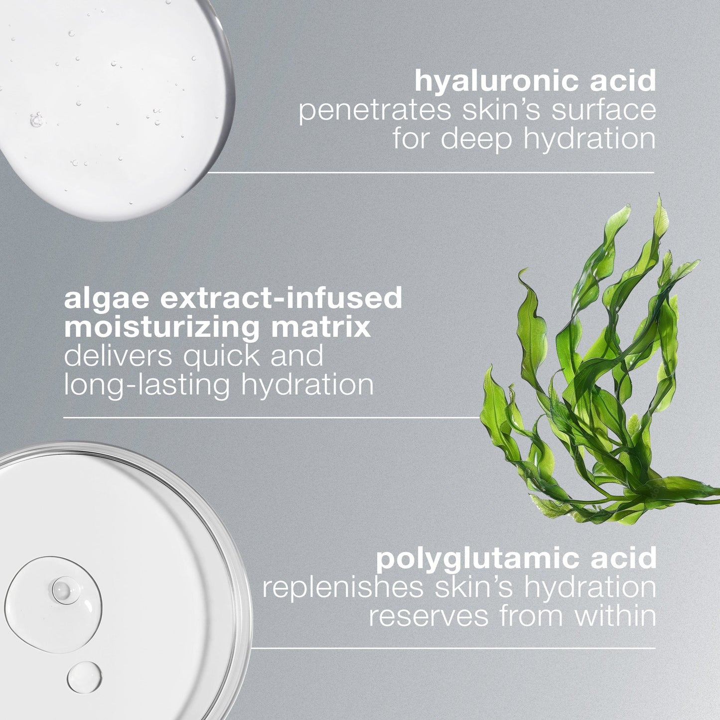 Circular Hydration Serum with Hyaluronic Acid